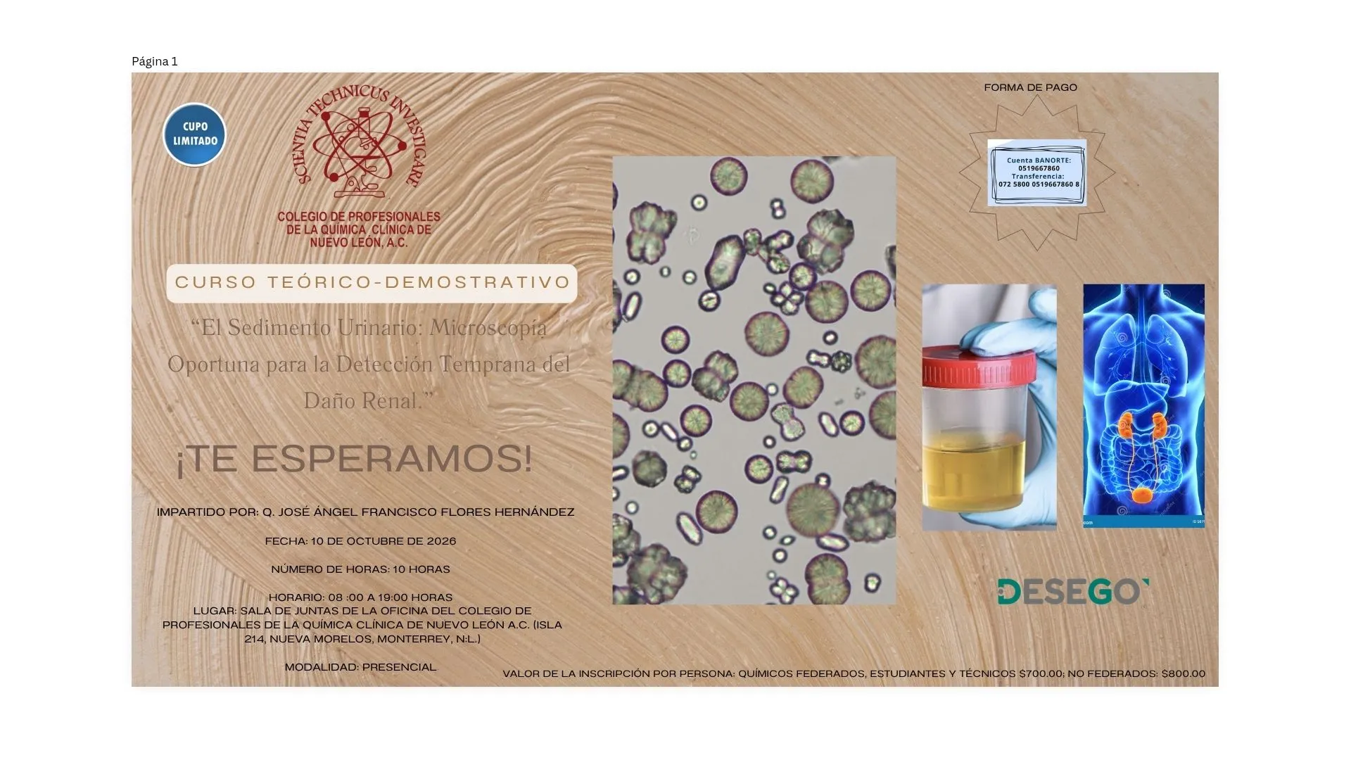 Curso Teórico - Demostrativo: “El Sedimento Urinario: Microscopía oportuna para la detección temprana de daño renal”